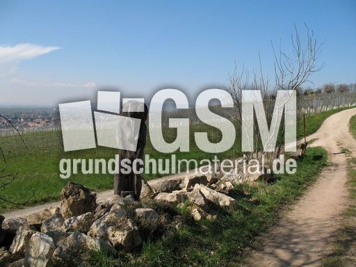 Weil am Rhein Weiler Weinweg 019.jpg
